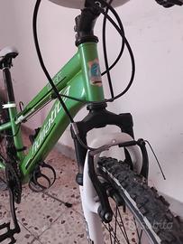 Mtb adriatica 24 pollici