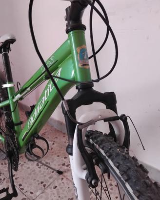 Mtb adriatica 24 pollici