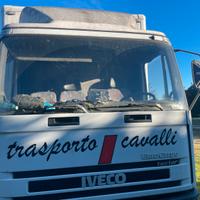 Van trasporto cavalli