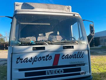 Van trasporto cavalli