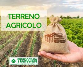 TER. AGRICOLO A AGNADELLO