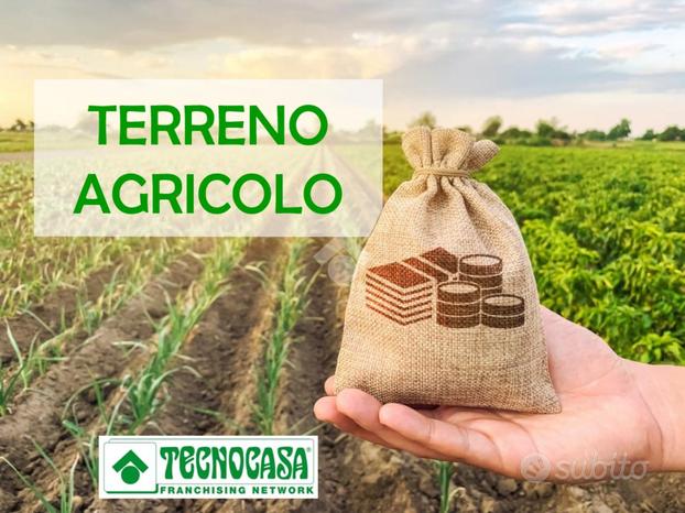 TER. AGRICOLO A AGNADELLO