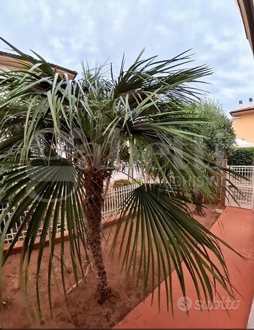 Appartamento – Follonica, Corti Nuove, Grosseto - Vista 3