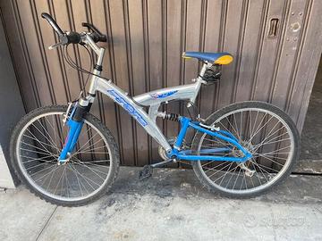 bicicletta