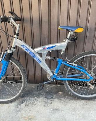 bicicletta