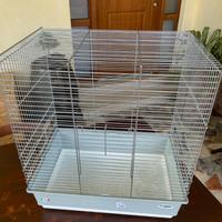 Imac Gabbia Dora Plus