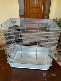 Imac Gabbia Dora Plus