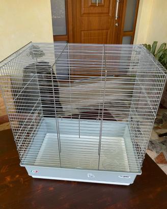 Imac Gabbia Dora Plus