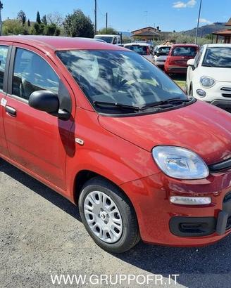 FIAT Pandina PANDA MY26 1.0 65CV HYBRID ICON