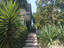 Immagine 6