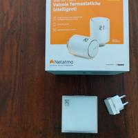 smart hub valvole termostatiche Netatmo