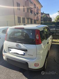 Fiat panda hybrid 2024