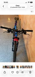 bicicletta