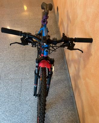 bicicletta