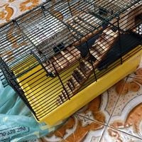 gabbia criceto e accessori (vedi foto)