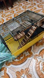 gabbia criceto e accessori (vedi foto)