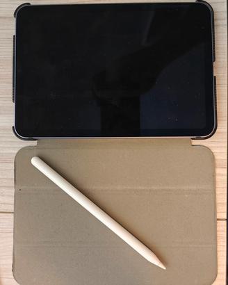 ipad mini 64GB wifi con cover e apple pen 2