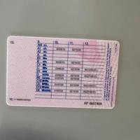 Autista patente DE CE CQC