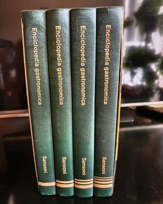 Il mondo in cucina. Enciclopedia gastronomica