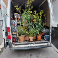 Trasloco Trasporto e Sgombero, Facchinaggio