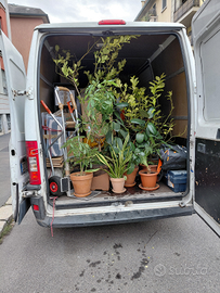 Traslochi Trasporti e Sgomberi, Facchinaggio