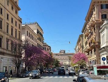 Immobile di 170 m² a Roma