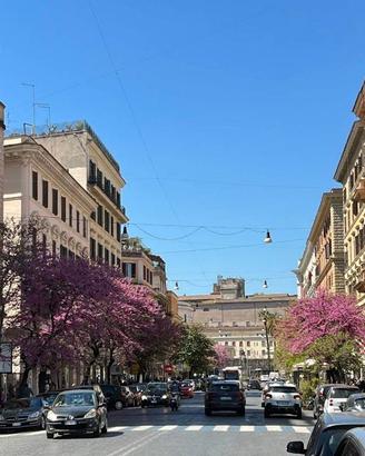 Immobile di 170 m² a Roma