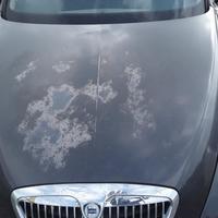 COFANO ANTERIORE LANCIA Thesis 1Â° Serie (02>)