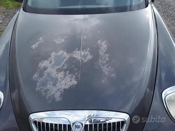 COFANO ANTERIORE LANCIA Thesis 1Â° Serie (02>)