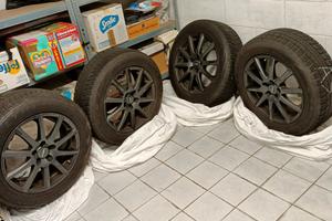 Gomme invernali TRIAL 225/60 R17