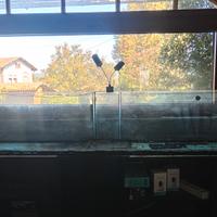 Acquario