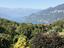 Immagine 22