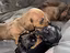 Immagine 5