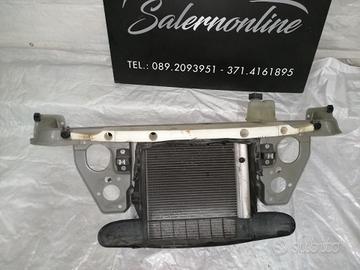 Kit radiatori e calandra Smart 450