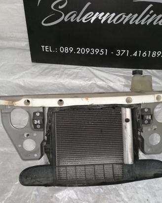 Kit radiatori e calandra Smart 450