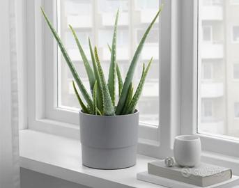 6 portavasi Ikea