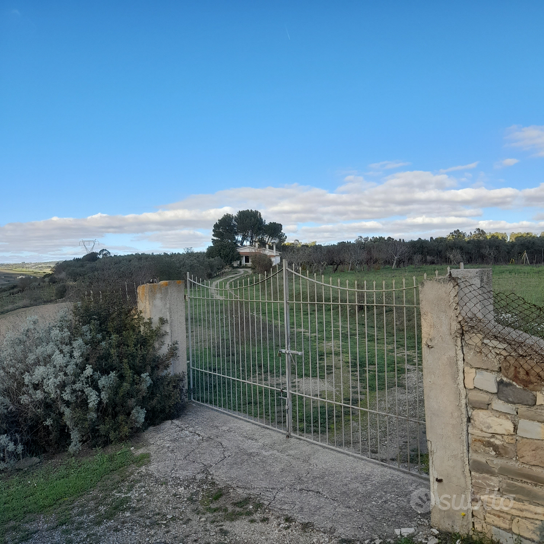 Villetta su tre ettari di terreno 400 piante ulivo - Vista 2