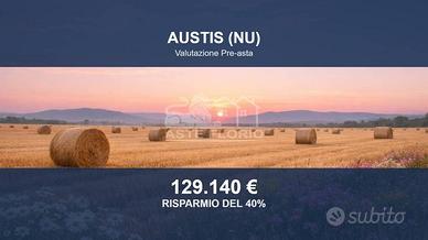 Immobile in asta di 435732 m² a Austis