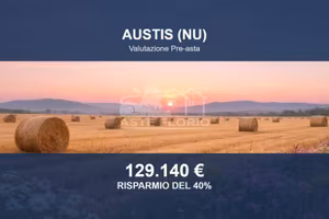 Immobile in asta di 435732 m² a Austis