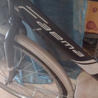 Bicicletta per carichi pesanti da 28 fino a 200kg