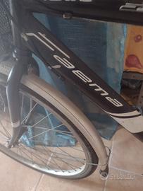 Bicicletta per carichi pesanti da 28 fino a 200kg