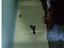 Immagine 28