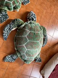 TARTARUGHE GIGANTI