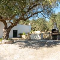 Cisina; tra mare e ulivi, dove nascono i ricordi