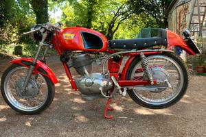 Moto Morini 250 Settebello Racing 1965