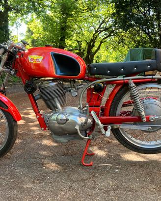 Moto Morini 250 Settebello Racing 1965