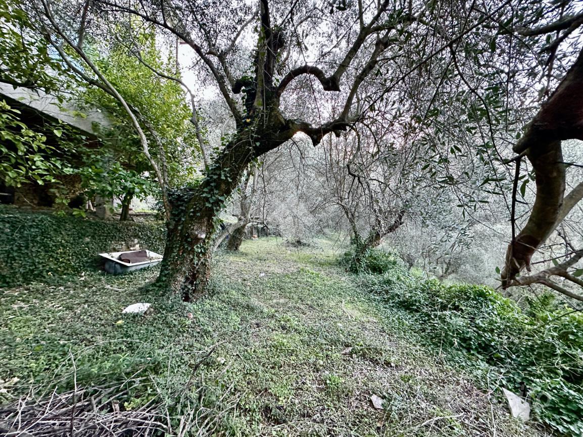 RUSTICO A STELLANELLO - View 6