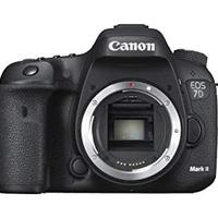 Canon EOS 7D Mark II & Canon EF 400mm f/5.6 L USM
