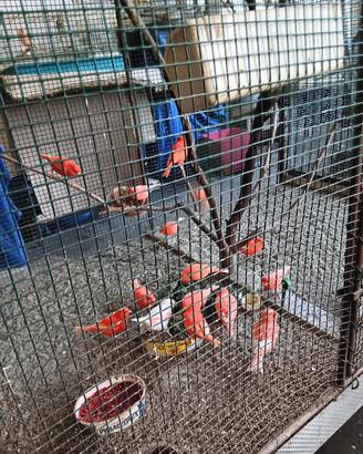 Il piccolo Zoo Brughera