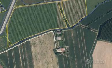 Terreni in zona Cosenza e Comuni limitrofi